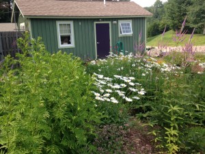 Smugglers' Notch Vermont flower cutting garden