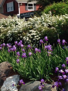 Smugglers' Notch Vermont flower garden