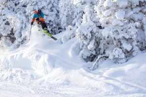 Skier jumping in powder