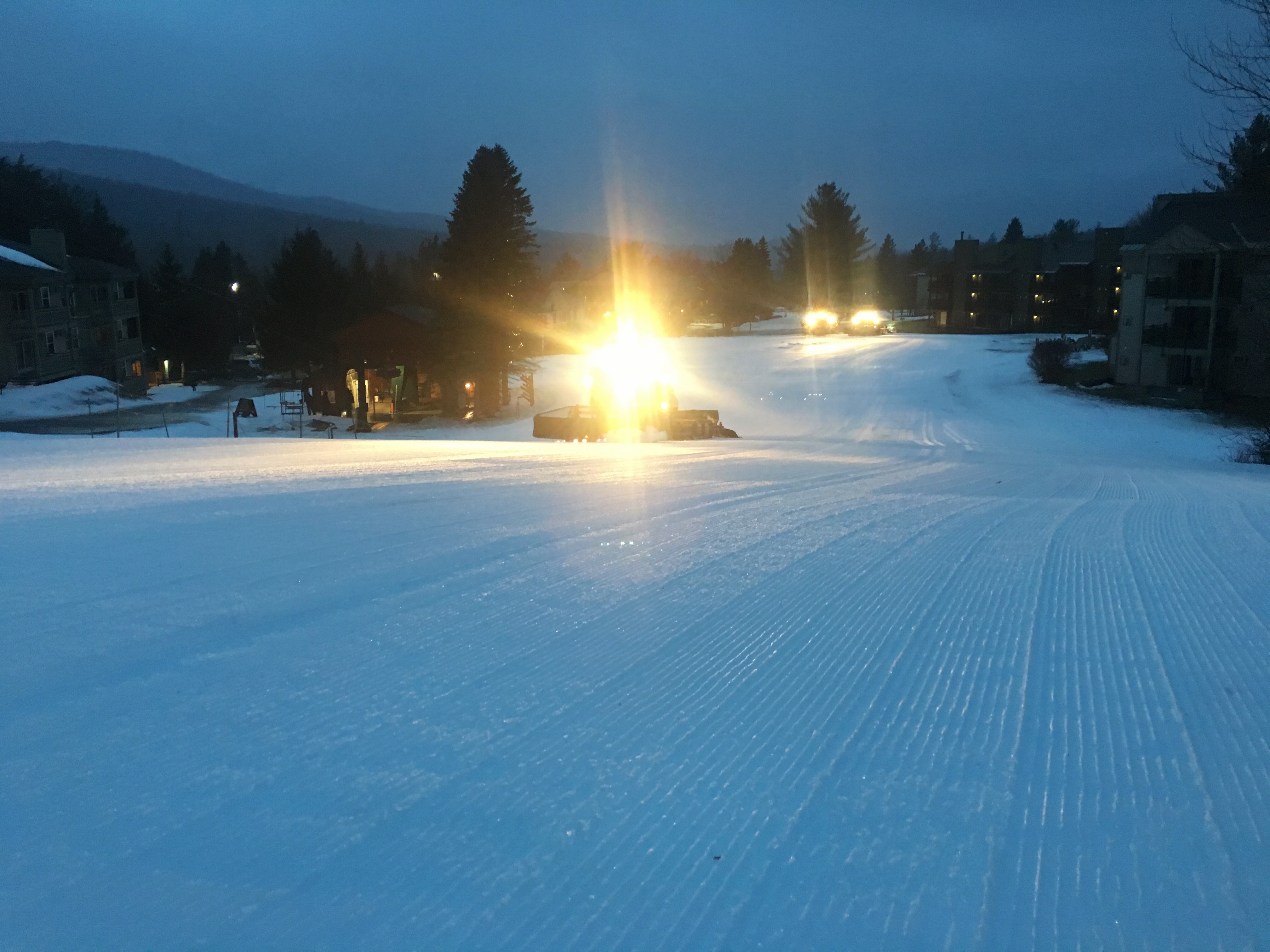 By the Light of the Groomers January 12, 2017