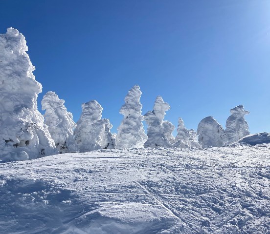 snow-trees-2